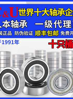 人本6202轴承6204高速6205型号6206大全6201 6203 6001 6305 6306