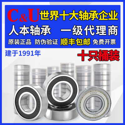人本6202轴承6204高速6205型号6206大全6201 6203 6001 6305 6306