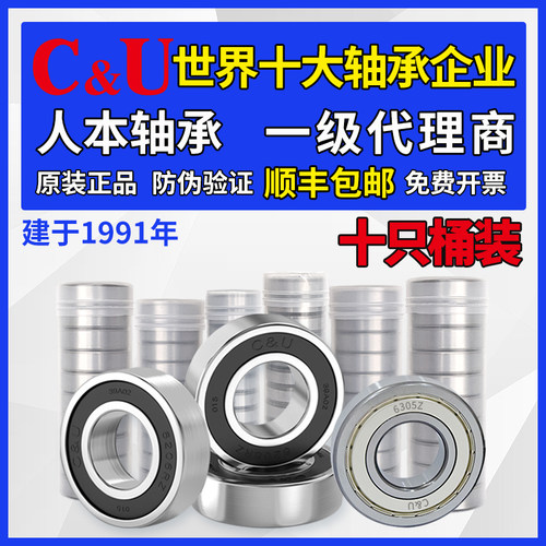 人本6202轴承6204高速6205型号6206大全6201 6203 6001 6305 6306