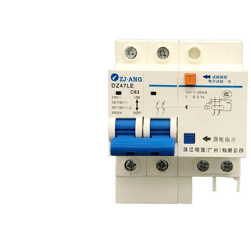珠江DZ47LE-63漏电保护开关家用总开关双极2P63A漏保总闸40安