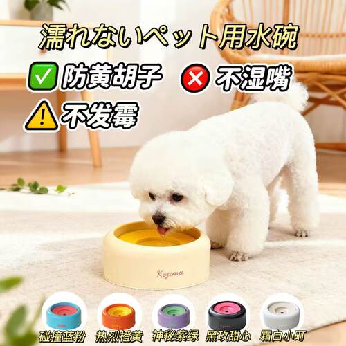 日本kojima咖家狗悬浮水碗