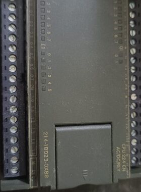 CPU224CN  成色见图 214-1BD23-0