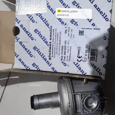 Giuliani anello压力控制器 FG18320
