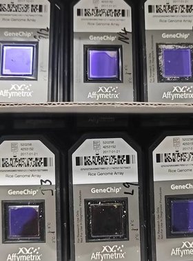 美国昂飞Affymetrix GeneChip 基因芯片生物