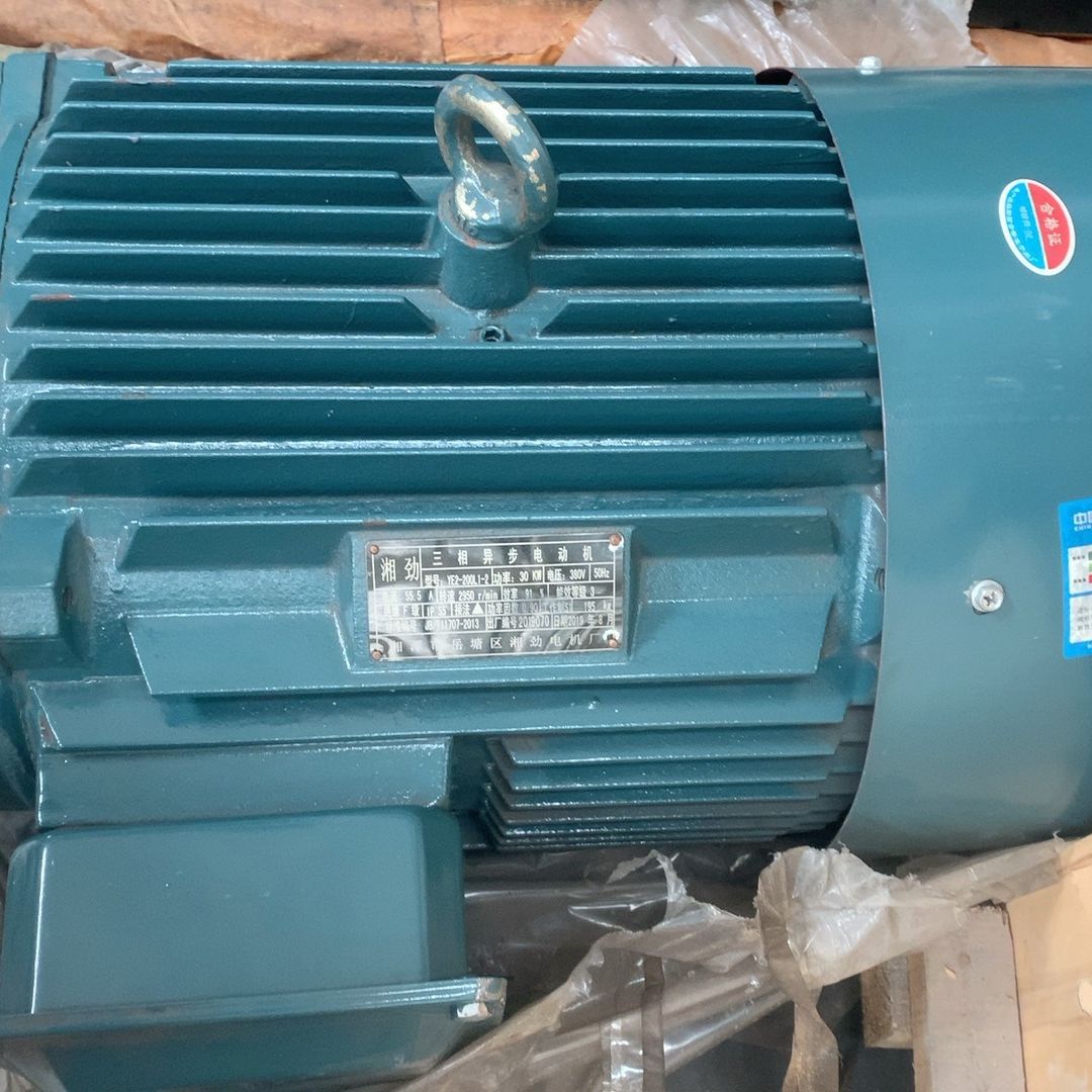 YE2-200L1-2电动机30kw 380V 50hz 5