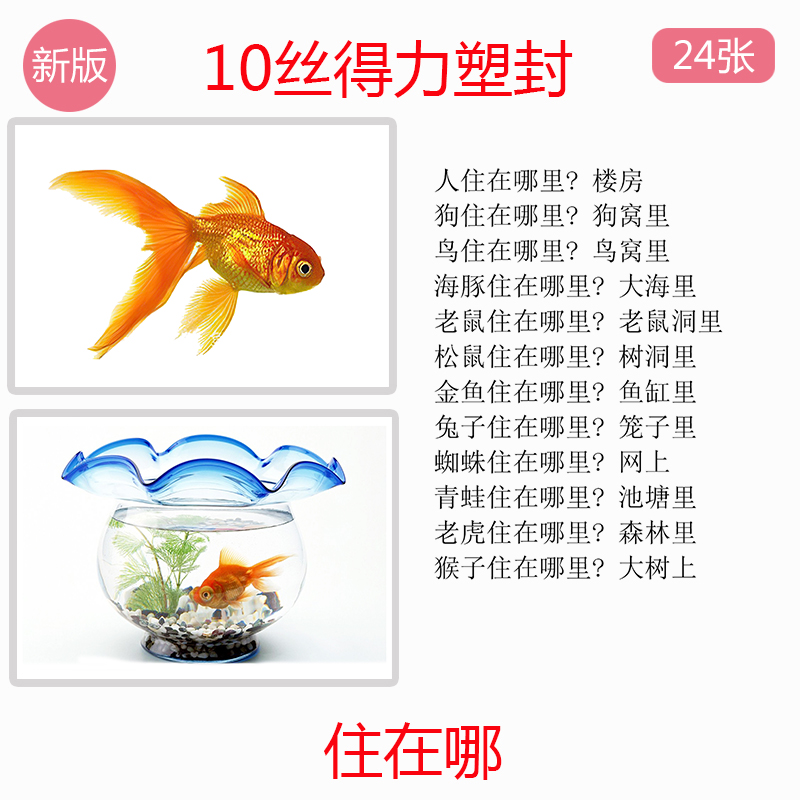 孤独症教学康复训练卡片