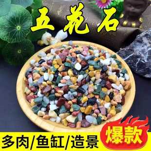 新款直销鱼缸底砂造景底沙水族箱装饰石头白沙水晶砂白石子五彩石