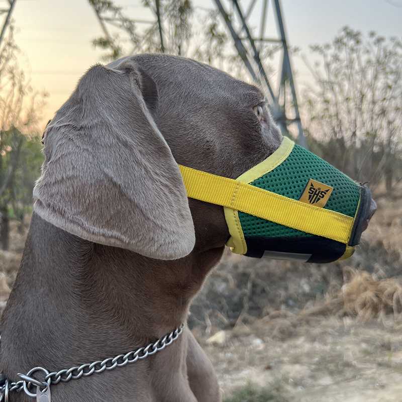 新款直销宠物用品跨境TK狗嘴套网眼透气狗狗口罩安全防勒防叫防咬