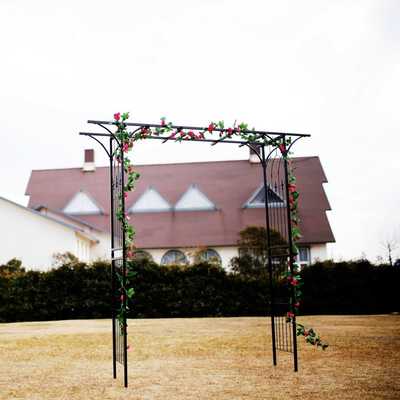 新款直销花园拱门 花园攀岩植物蔓藤架 室外花园草坪后院花插8
