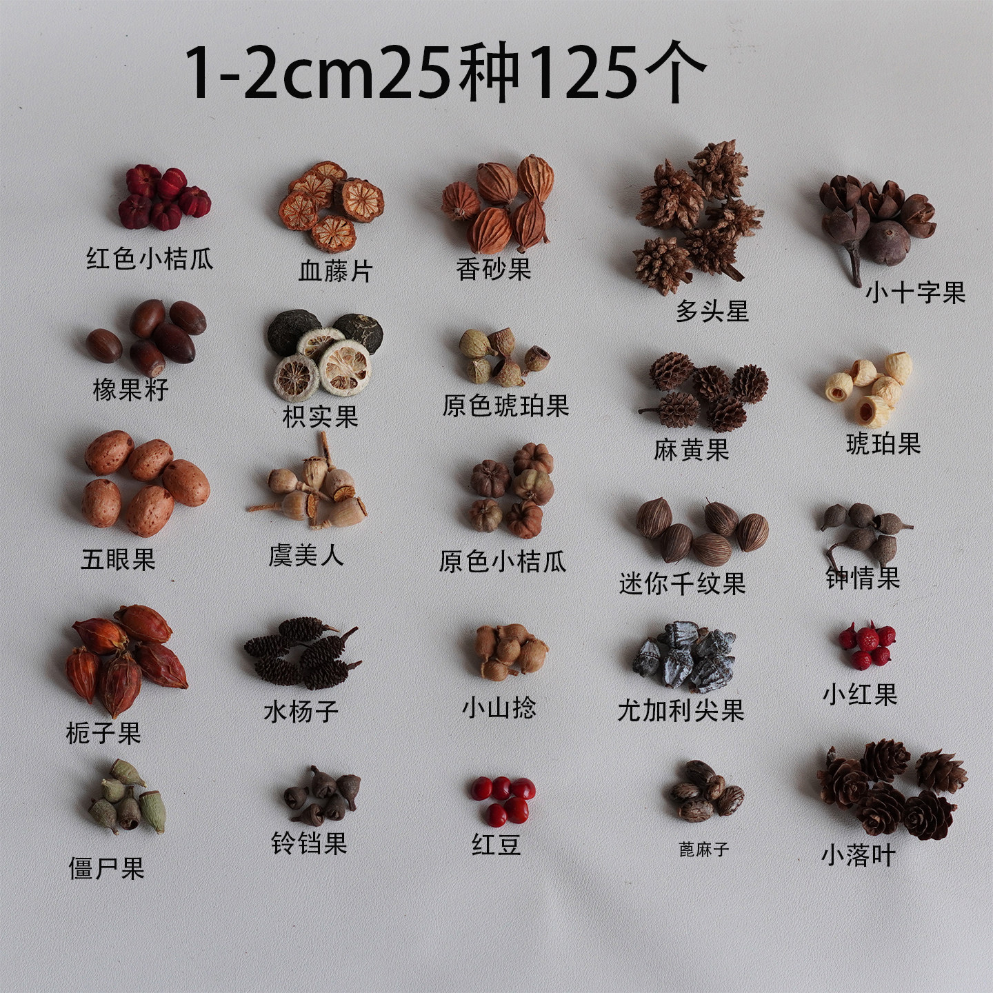 1-3cm植物果实豆荚手工材料包