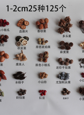 1-3cm植物果实豆荚手工材料包