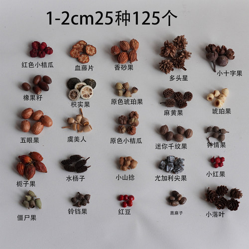 1-3cm植物果实豆荚手工材料包