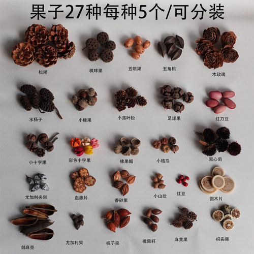 天然植物果壳标本DIY圣诞装饰
