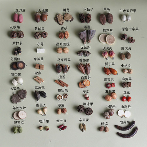 中药果实材料包幼儿园手工DIY