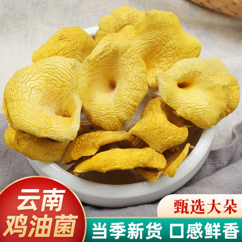 鸡油菌干货500g云南野生菌煲汤料