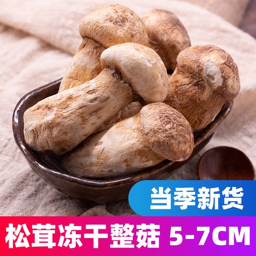 野生冻干松茸菌云南松茸菌菇干货