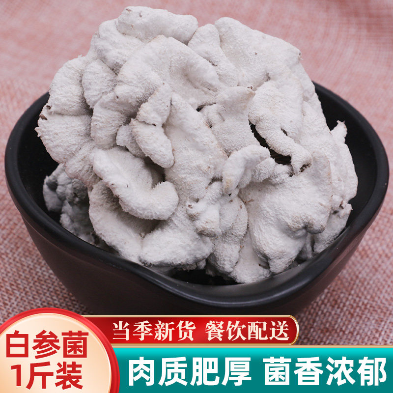 白参菌干货500g云南特产参树花裂褶菌菌菇菌类蘑菇雪莲花菌煲汤料