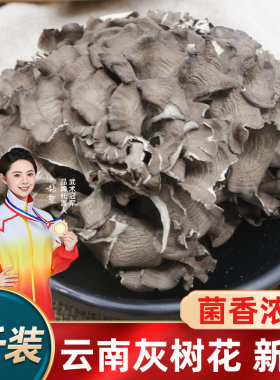 新疆包邮灰树花干货500g新鲜舞茸菌干蘑菇云南特产野生菌栗蘑灰树