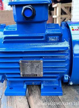 全新电机TEV3100L2-4 AEEV3NQ  3KW 4P