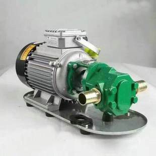 WCB 耐高温 370w手提式 齿轮油泵 耐腐 单三相手提式 全新厂家供应
