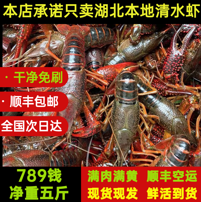 湖北潜江清水鲜活小龙虾789钱五斤大虾超大自产自销(满肉满黄)
