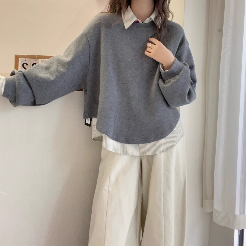 假两件卫衣女春秋2026新款爆款宽松慵懒风设计感大码显瘦长袖上衣