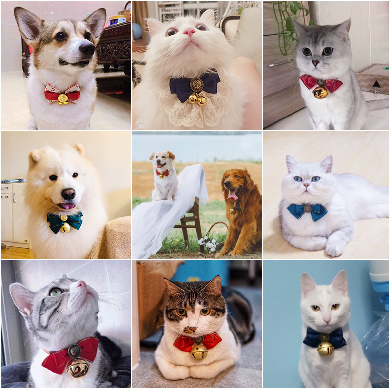 宠物猫咪领结蝴蝶铃铛项圈狗狗配饰比熊泰迪蝴蝶结领带生日结婚夏