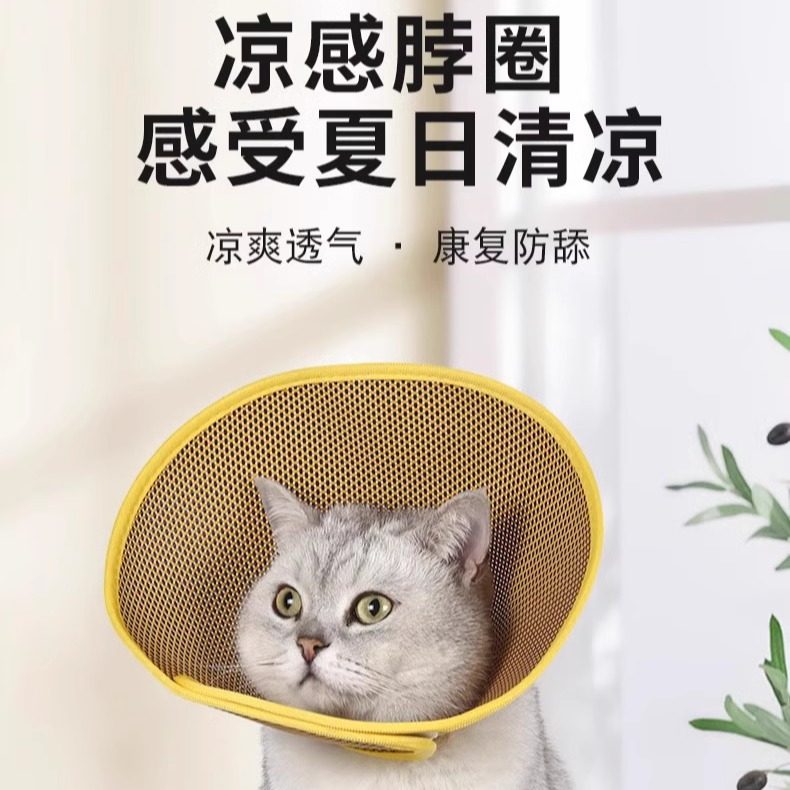 伊丽莎白圈猫咪狗狗绝育脖透气夏天防舔咬防水软头套护脖宠物项圈,宠物/宠物食品及用品,宠物伊丽莎白圈,淘宝优惠券,粉丝福利购,淘宝优惠卷
