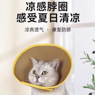 伊丽莎白圈猫咪狗狗绝育脖透气夏天防舔咬防水软头套护脖宠物项圈