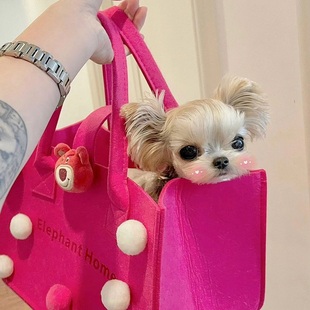 狗狗外出包便携手提宠物单肩包透气小体型犬比熊装狗袋遛狗毛毡包