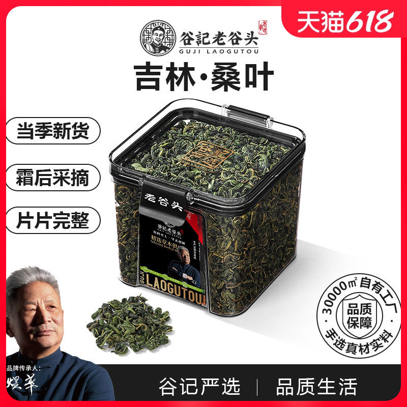 净口密封罐桑叶茶霜后冬嫩桑树叶桑葚桑树泡水喝搭配玉米须