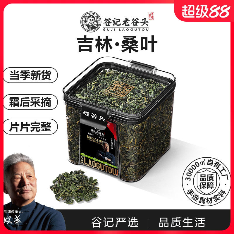 老谷头桑叶茶霜后冬嫩桑树叶霜打图片