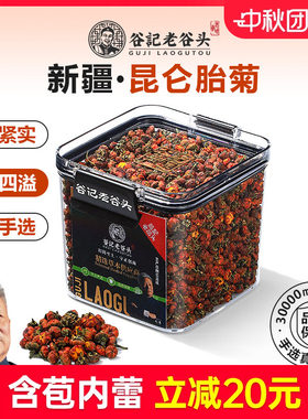 老谷头新疆昆仑雪菊胎菊