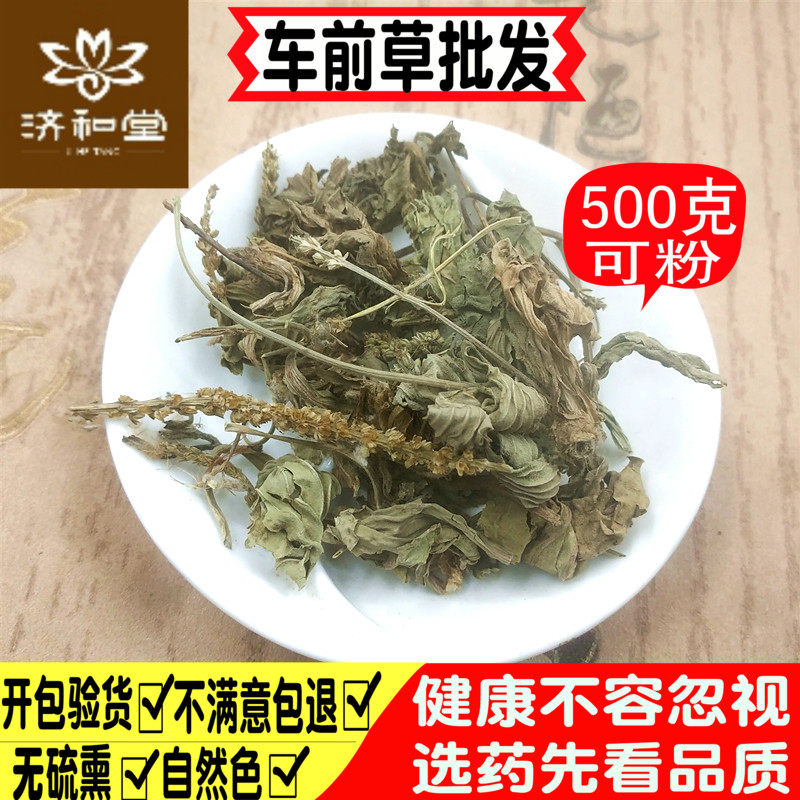 车前草中草药店铺 野生500g包邮车钱草泡茶可磨车前草粉中药材,传统滋补营养品,其他药食同源食品,淘宝优惠券,粉丝福利购,淘宝优惠卷