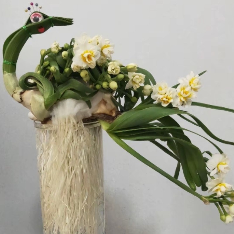 雕刻水仙花种球盆栽水养带花苞造型成品年宵花卉植物室内大孔雀