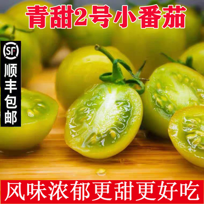 青甜二号青霞小番茄超甜现摘顺丰