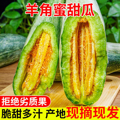 新鲜头茬羊角蜜甜瓜当季新鲜水果香甜瓜香瓜山东羊角脆甜整箱包邮