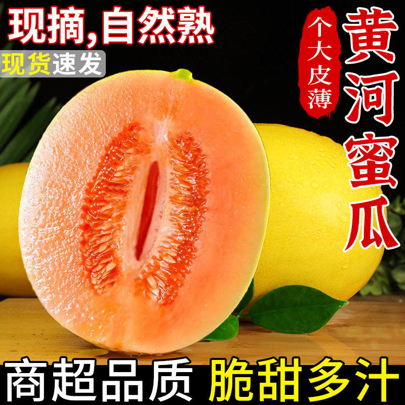陕西黄河蜜甜瓜当季新鲜水果沙漠黄金蜜瓜哈密瓜脆甜香瓜正宗整箱