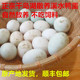 新鲜散养鸭蛋正宗千岛湖农家土鸭蛋青皮生鸭蛋青壳绿壳鸭蛋100枚
