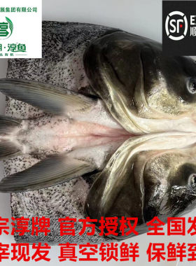 正宗千岛湖鱼头淳牌有机鱼