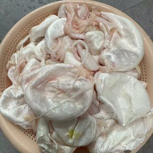 新鲜鱼泡正宗千岛湖胖头鱼泡花鲢鱼鳔鱼肚鱼胶现杀非冰冻顺丰包邮