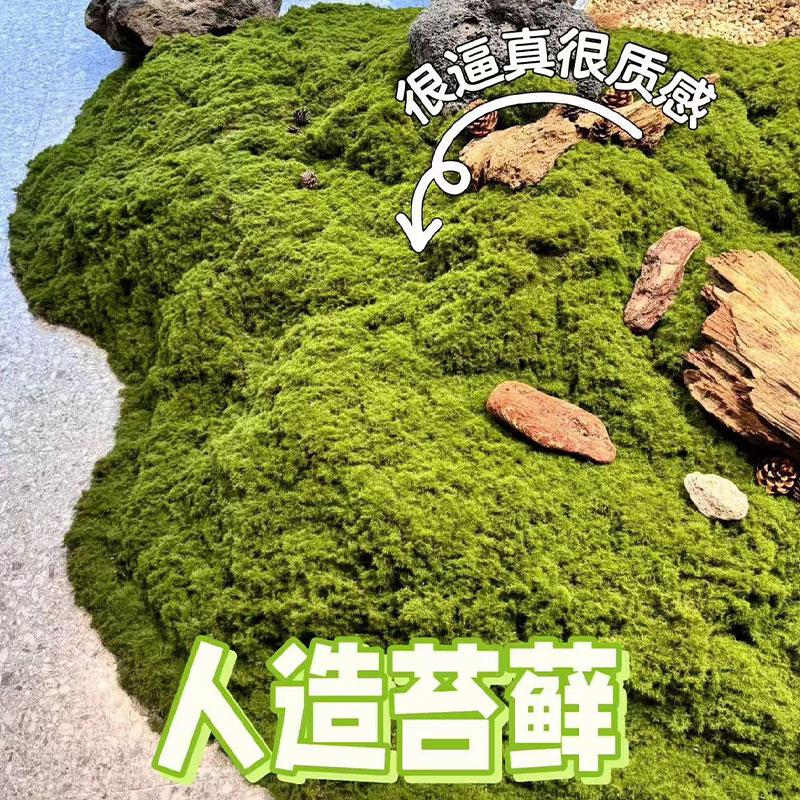 仿真苔藓草皮造景假青苔微景观丝状仿生绿植桌面人造花盆摆件盆栽