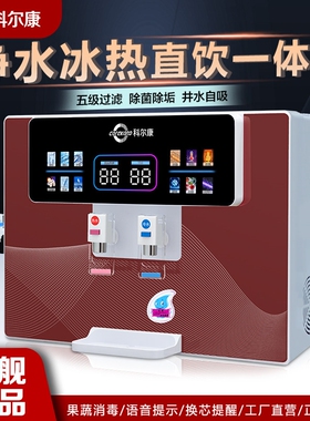 科尔康RO净水器直饮加热一体机反