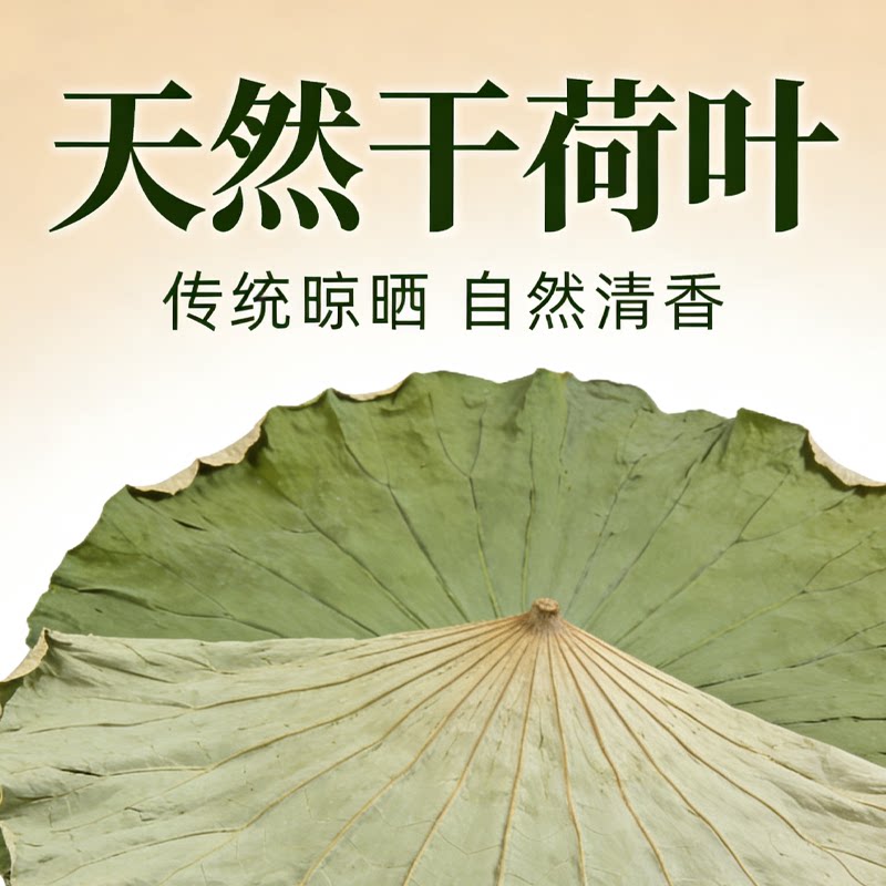 晒干整张干荷叶精选大片天然晒干