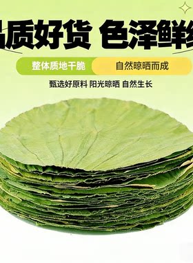 整张干荷叶片圆形12-28cm任选