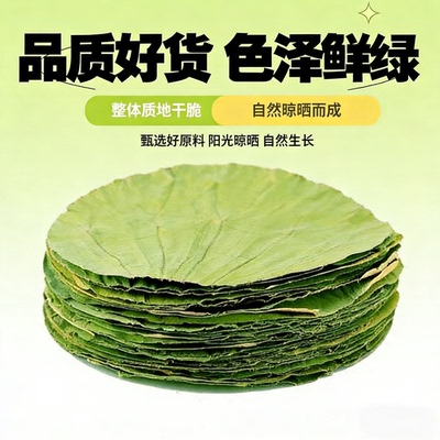 整张干荷叶片圆形12-28cm任选