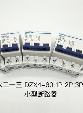 天水213二一三DZX4-601PD5D10D15D20D32D40D60小型断路器