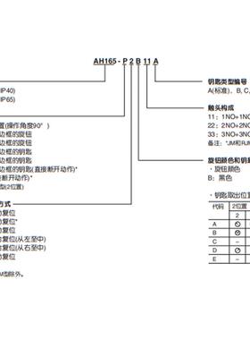 二三档钥匙选择按钮开关AH165-SJ2AAH164-SJ2ASJ3A11AB