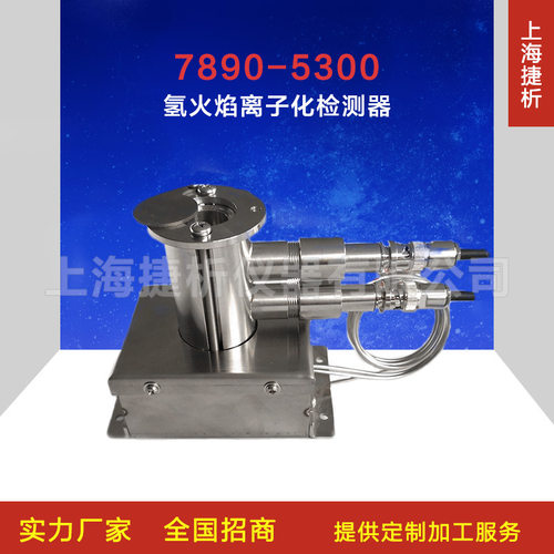 FID氢火焰检测器非甲烷总烃及苯系物在线气相色谱仪 搭配灵活