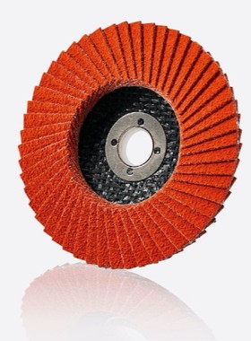 Ichiguchi 一久株式会社 超级陶瓷圆盘 SPCD10015